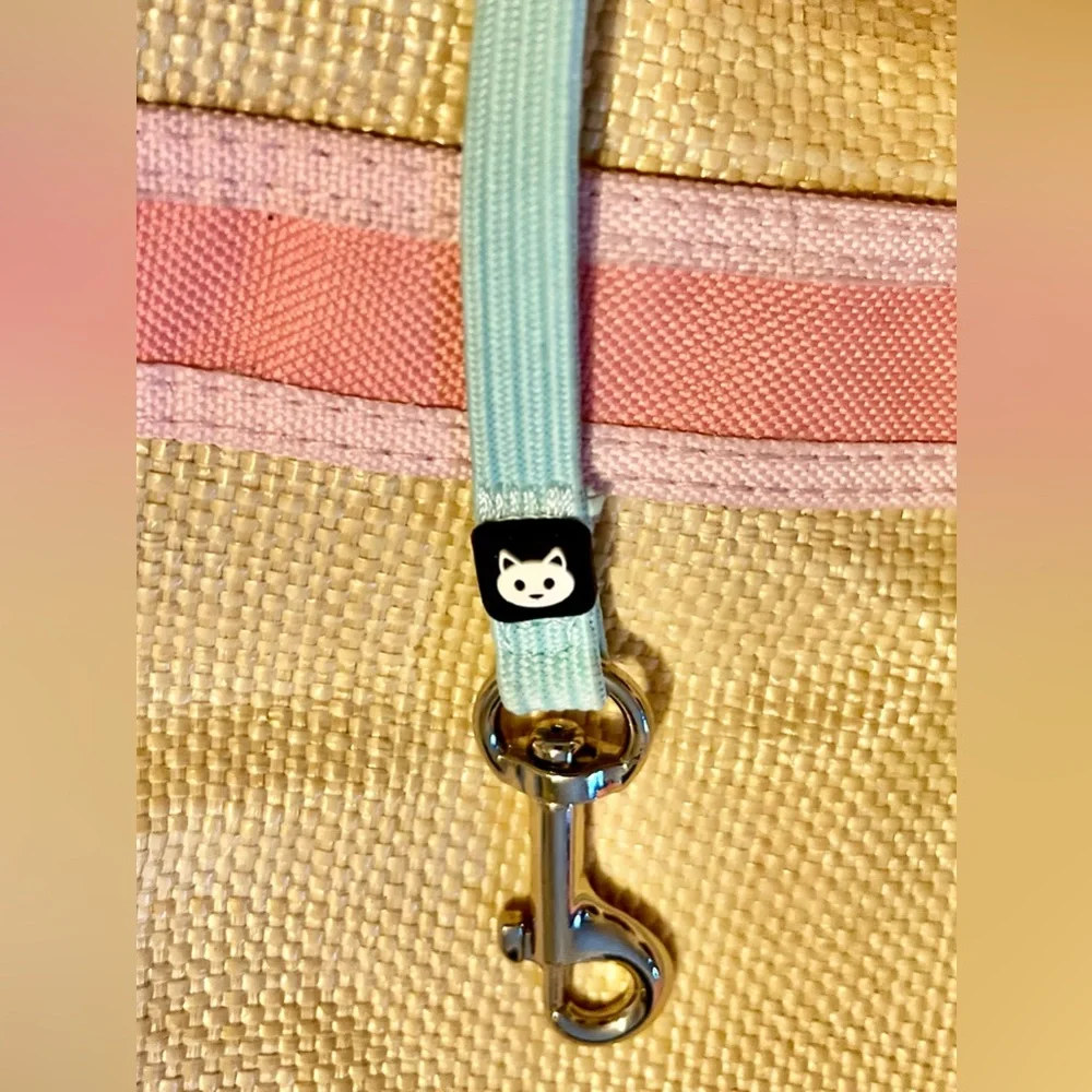5 piece (minimum) cat bundle! Cat harness, cat leash, two cat collars, & a toy 😻
